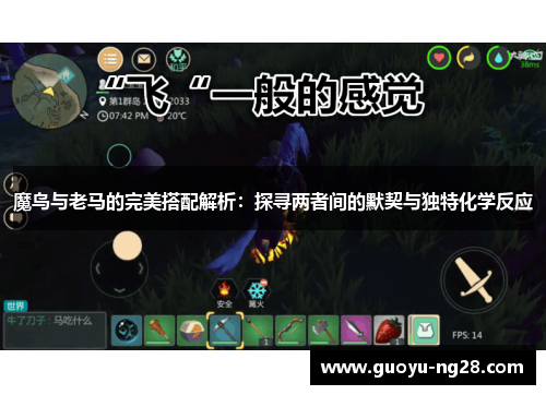 魔鸟与老马的完美搭配解析：探寻两者间的默契与独特化学反应