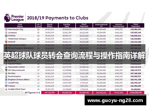 英超球队球员转会查询流程与操作指南详解