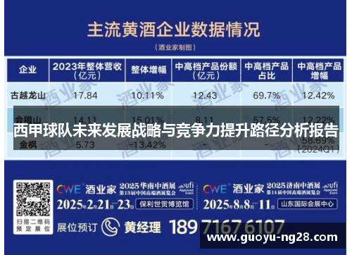 西甲球队未来发展战略与竞争力提升路径分析报告