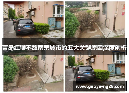 青岛红狮不敌南京城市的五大关键原因深度剖析