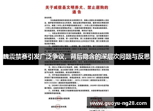 魏震禁赛引发广泛争议，背后隐含的深层次问题与反思