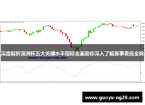 深度解析澳洲杯五大关键水平指标全面助你深入了解赛事表现全貌