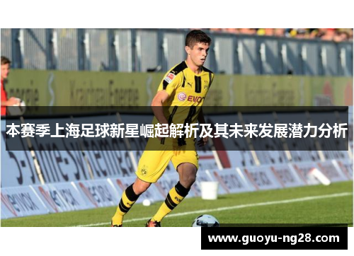 本赛季上海足球新星崛起解析及其未来发展潜力分析