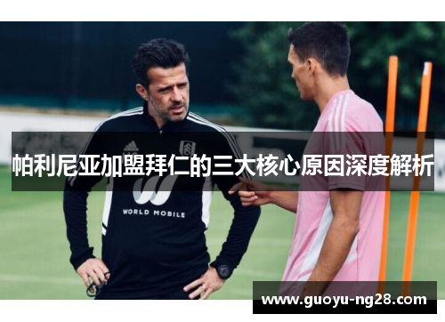 帕利尼亚加盟拜仁的三大核心原因深度解析