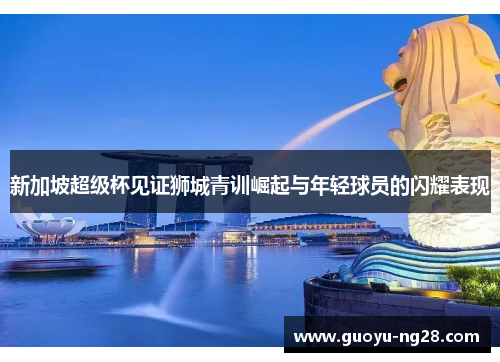 新加坡超级杯见证狮城青训崛起与年轻球员的闪耀表现