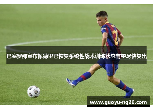 巴塞罗那宣布佩德里已恢复系统性战术训练状态有望尽快复出