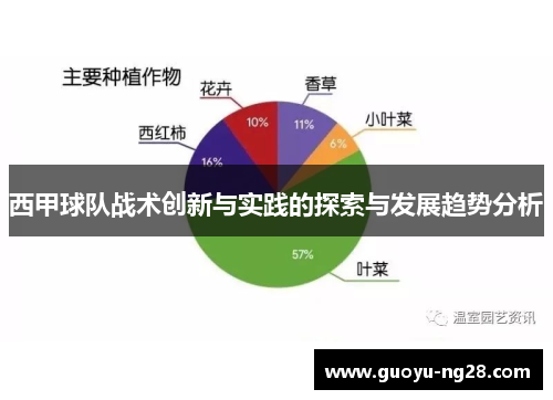西甲球队战术创新与实践的探索与发展趋势分析